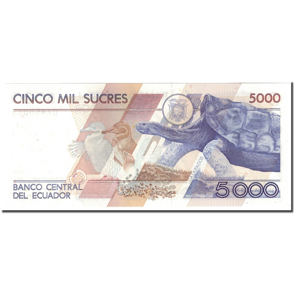Banknote, Ecuador, 5000 Sucres, 1996-01-13, KM:128b, UNC(65-70)