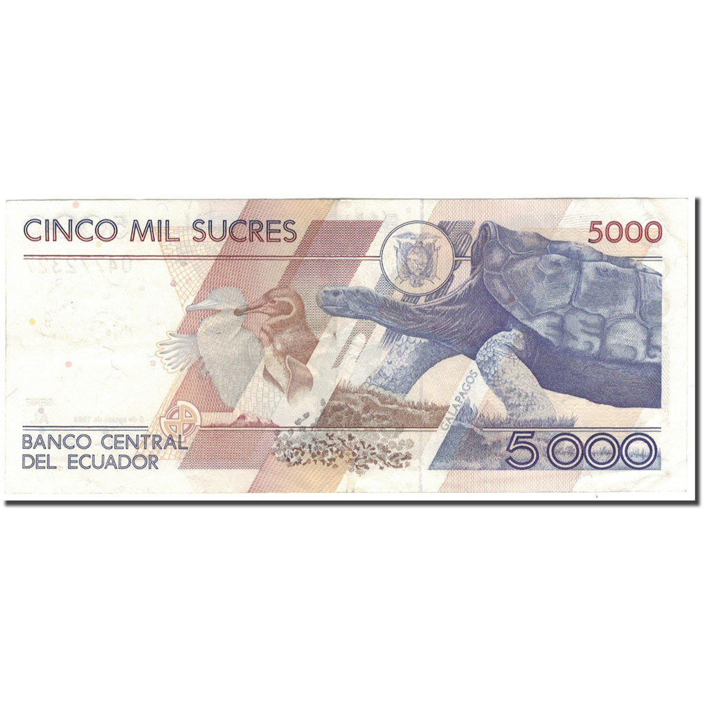 Banknote, Ecuador, 5000 Sucres, 1995-08-08, KM:128b, EF(40-45)