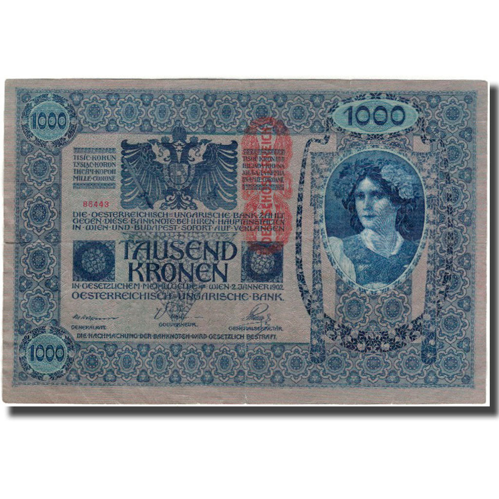 Banknote, Austria, 1000 Kronen, 1902-01-02, KM:8a, EF(40-45)
