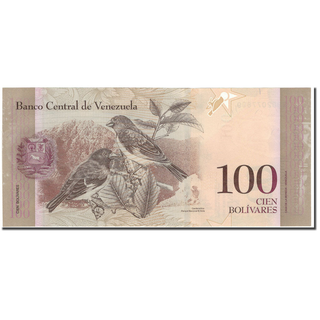 Banknote, Venezuela, 100 Bolivares, 2015-06-23, KM:New, UNC(63)