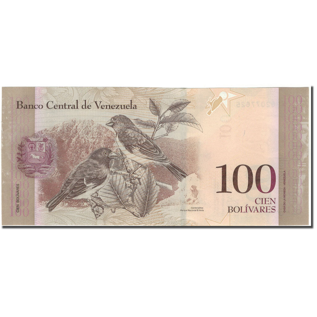 Billete, 100 Bolivares, Venezuela, 2015-06-23, KM:New, UNC