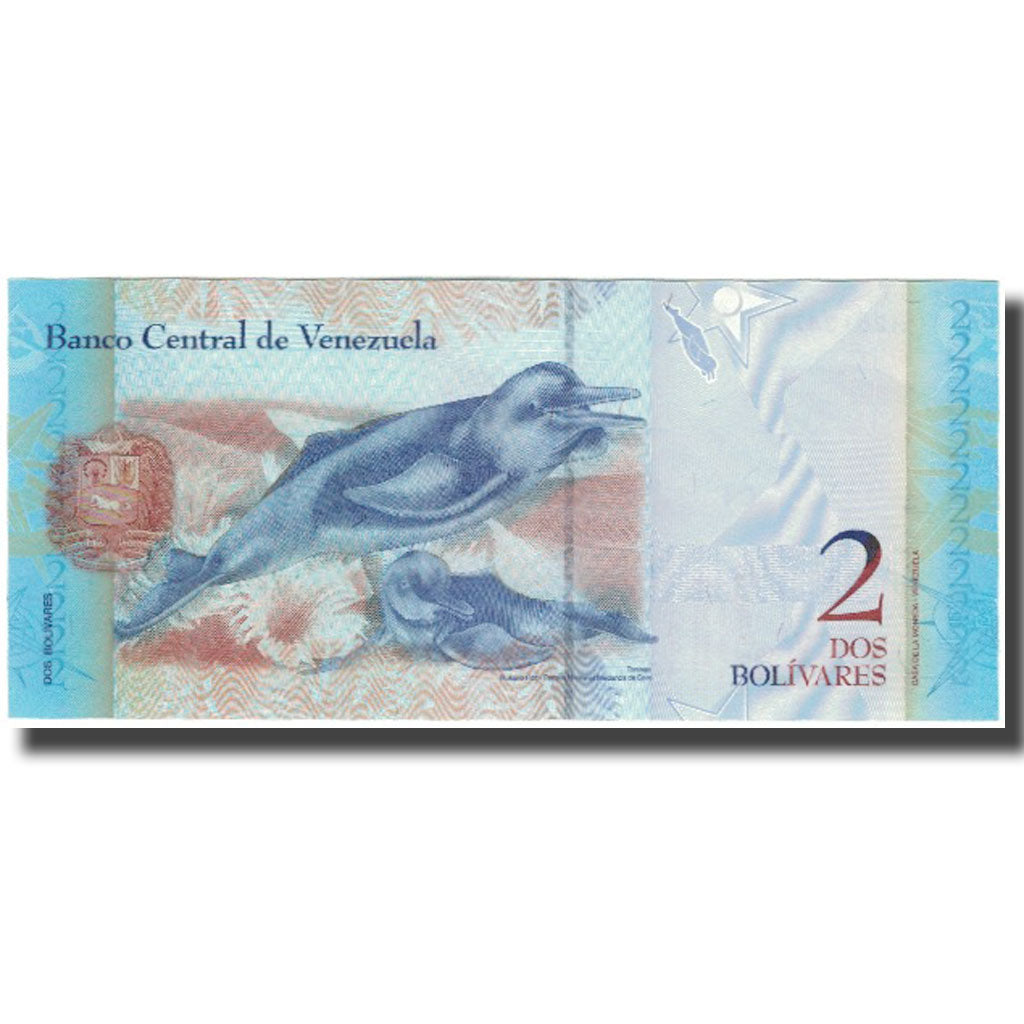Billete, 2 Bolivares, Venezuela, 2007-05-24, KM:88b, UNC