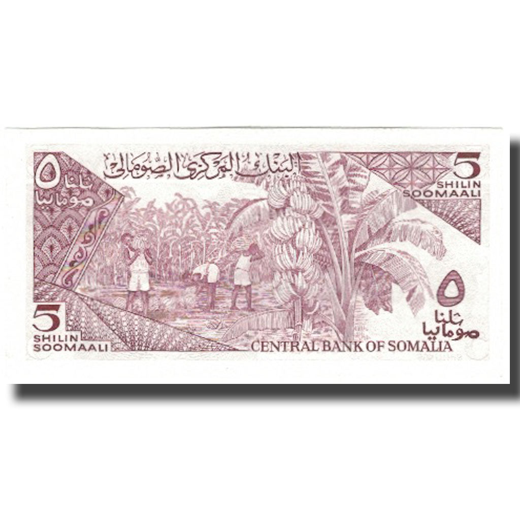 Geldschein, Somalia, 5 Shilin = 5 Shillings, 1986, KM:31b, UNZ