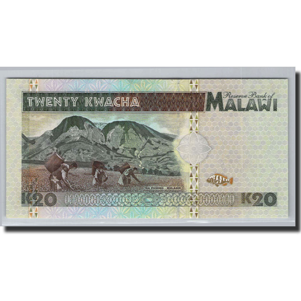 Banknote, Malawi, 20 Kwacha, 1995, 1995-06-01, KM:32, UNC(65-70)