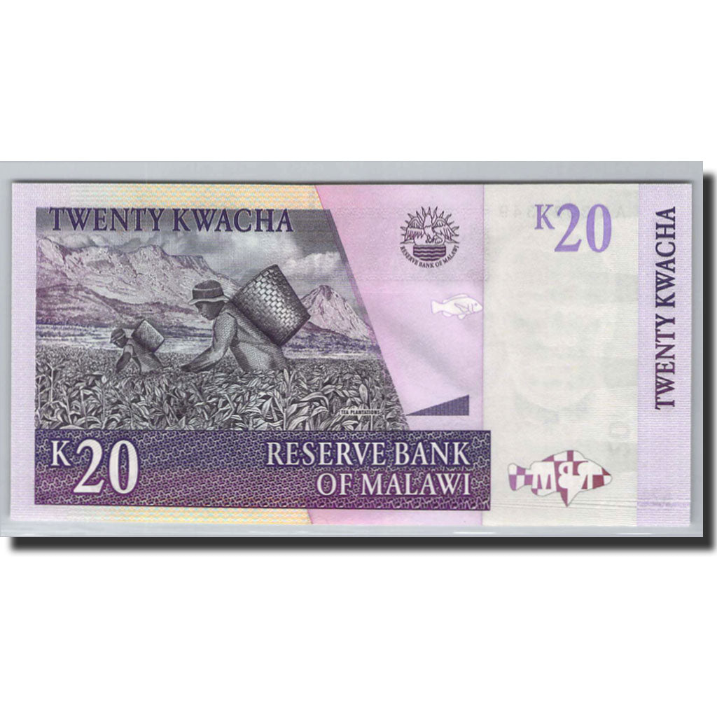 Banknote, Malawi, 20 Kwacha, 2004, 2004-06-01, KM:52a, UNC(65-70)