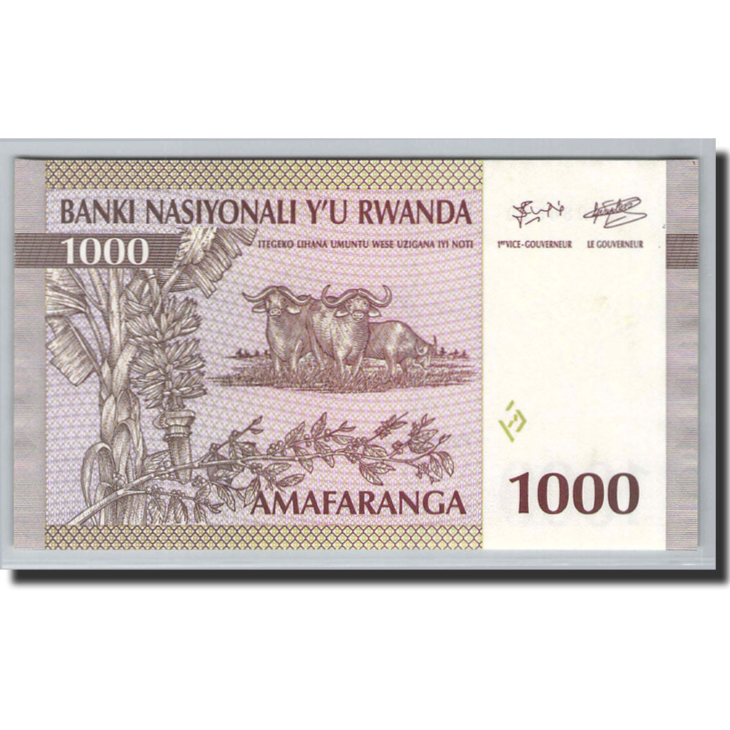 Banknote, Rwanda, 1000 Francs, 1994, 1994-12-01, KM:24a, UNC(65-70)