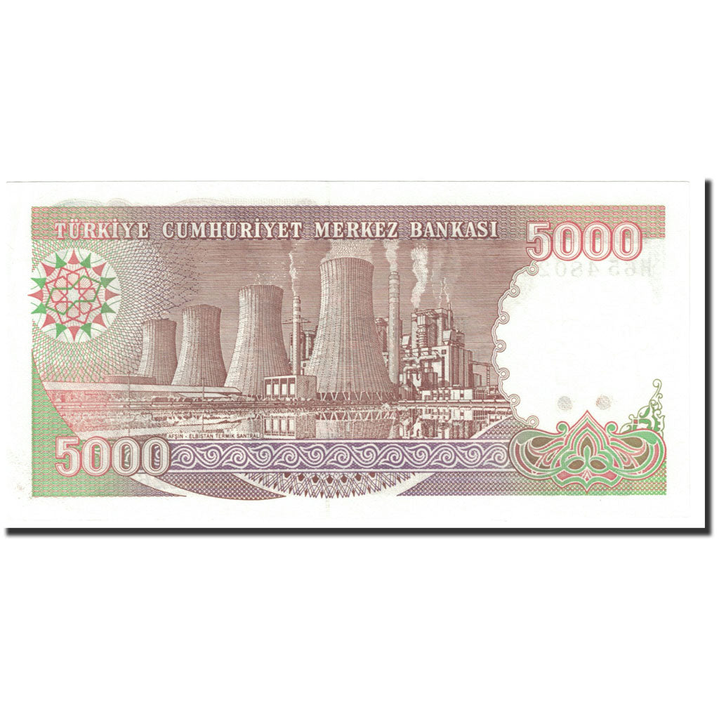 Biljet, Turkije, 5000 Lira, 1990-1994, Old date 1970-01-14, KM:198, NIEUW