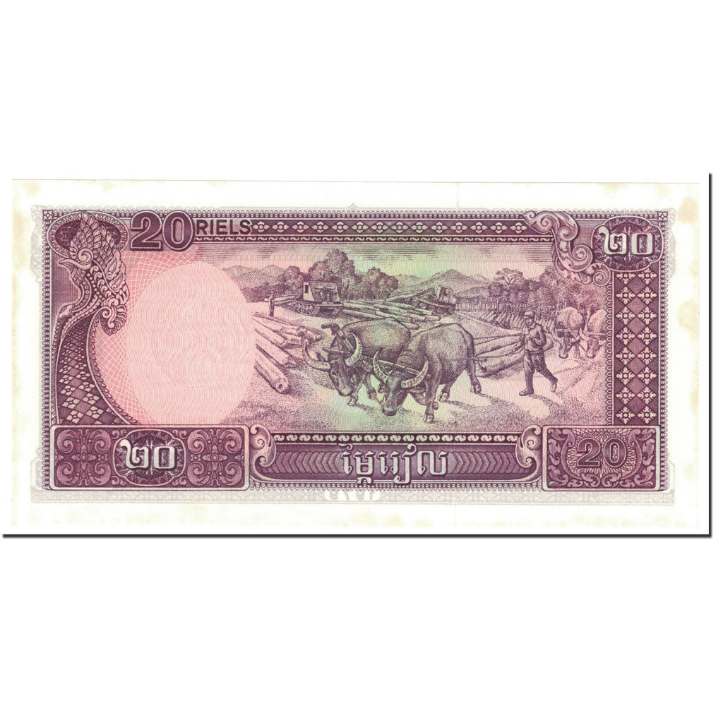 Banknote, Cambodia, 20 Riels, 1979, Undated (1979), KM:31a, UNC(60-62)