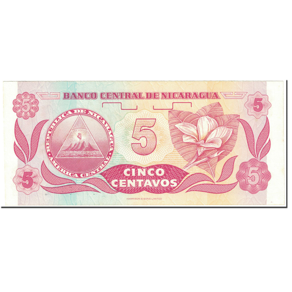Banknote, Nicaragua, 5 Centavos, 1991, Undated (1991), KM:168a, UNC(64)