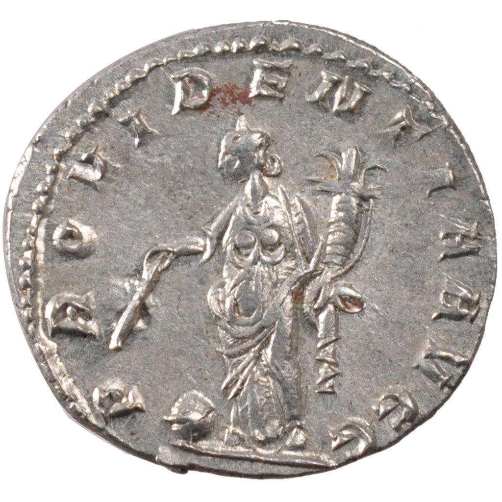Gallienus, Antoninianus, SPL, Biglione, Cohen:889