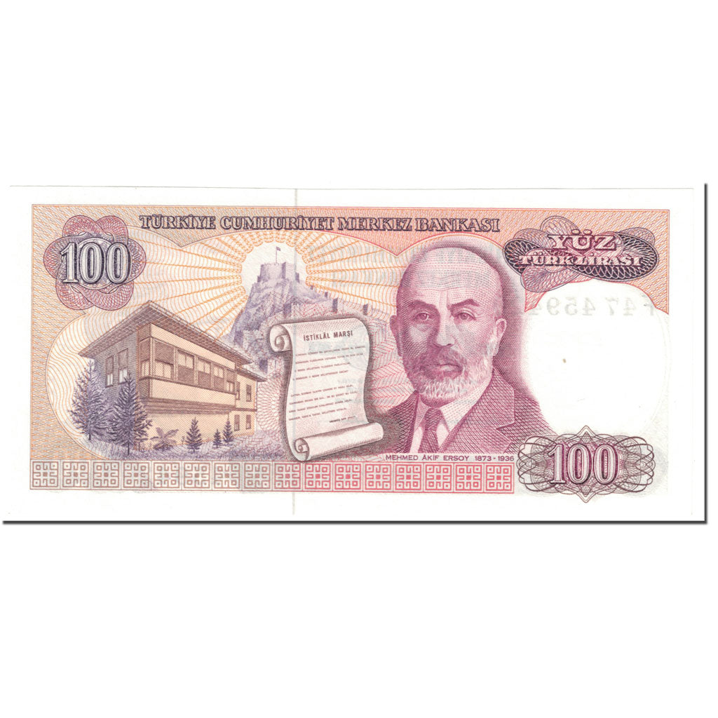 Biljet, Turkije, 100 Lira, 1984-89, Undated (1984-89), KM:194b, NIEUW