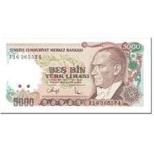 Banknote, Turkey, 5000 Lira, 1990-94, Undated (1990-94), KM:198, UNC(65-70)
