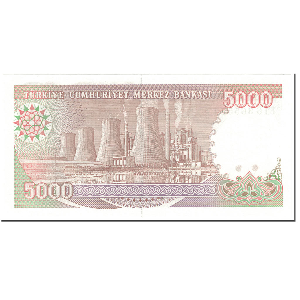 Banknote, Turkey, 5000 Lira, 1990-94, Undated (1990-94), KM:198, UNC(65-70)