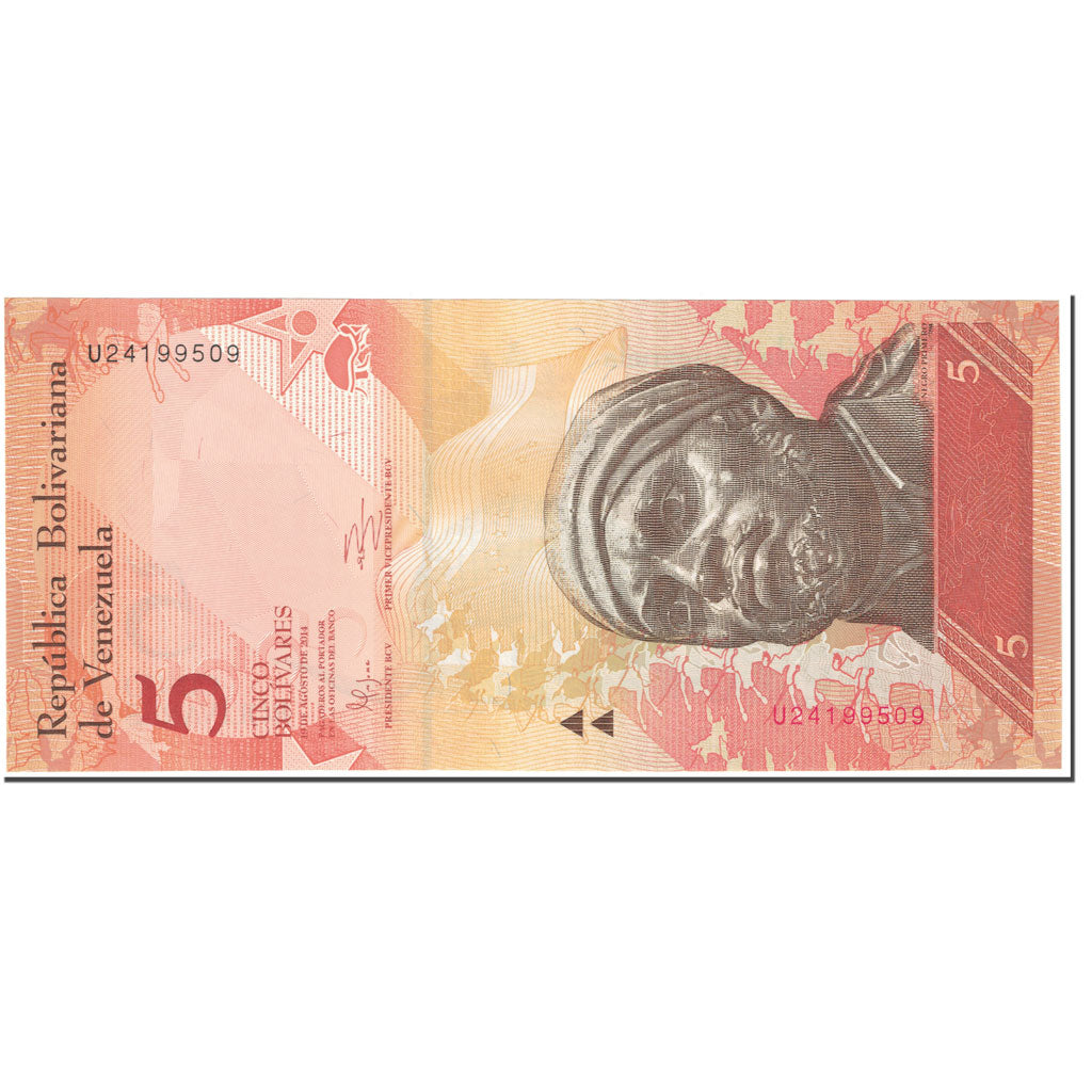 Banknote, Venezuela, 5 Bolivares, 2014, 2014-08-19, KM:89b, UNC(65-70)