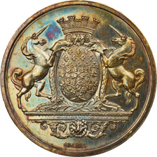 France, Médaille, Cours Communal de Botanique, Amiens, 1883, Barre, SPL, Argent