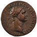 Domitia, As, F(12-15), Copper, Cohen #647, 9.50