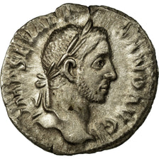 Munten, Alexander, Denarius, Roma, ZF, Zilver, Cohen:401