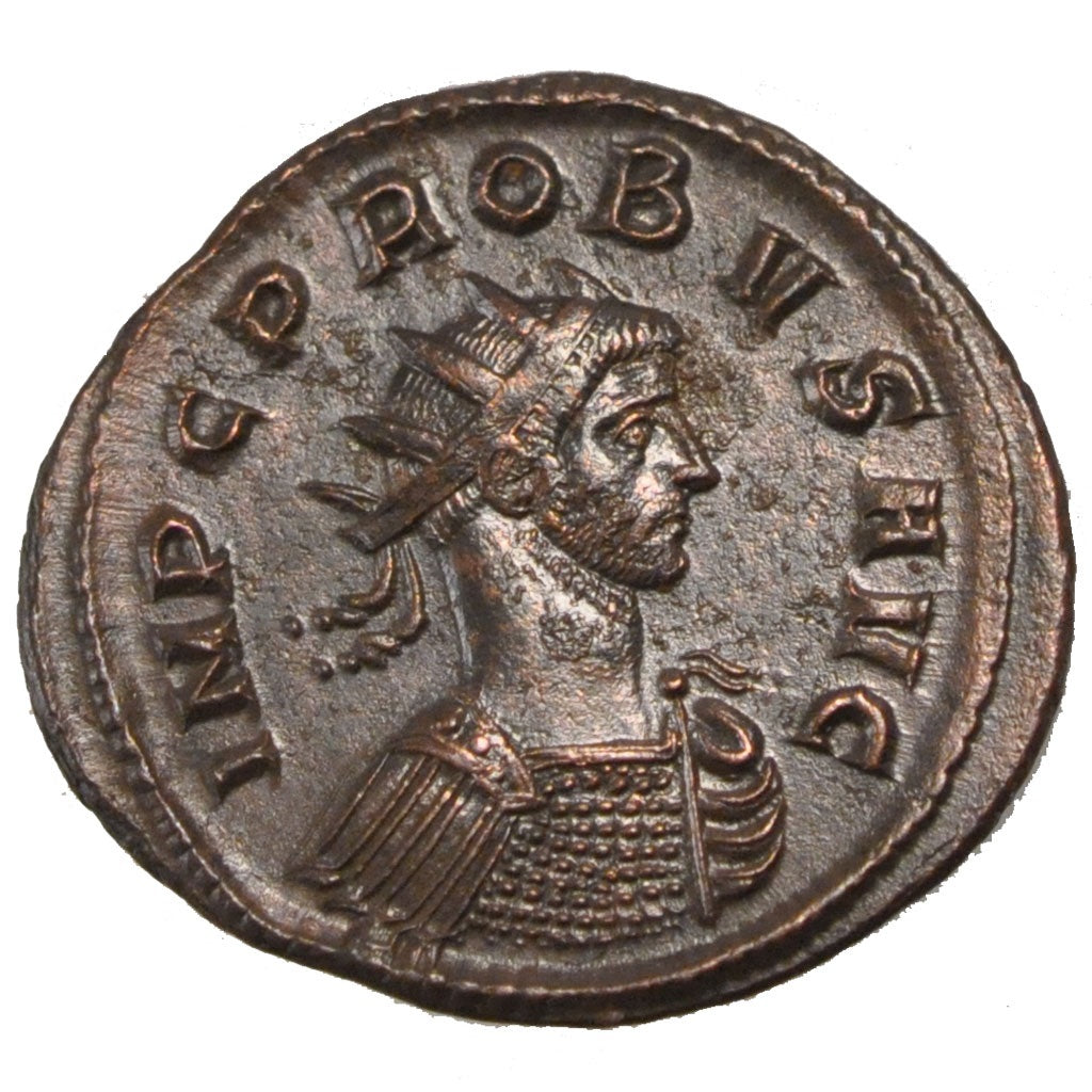 Probus, Antoninianus, SPL, Biglione, Cohen:611