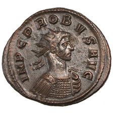 Probus, Antoninianus, SPL, Biglione, Cohen:611