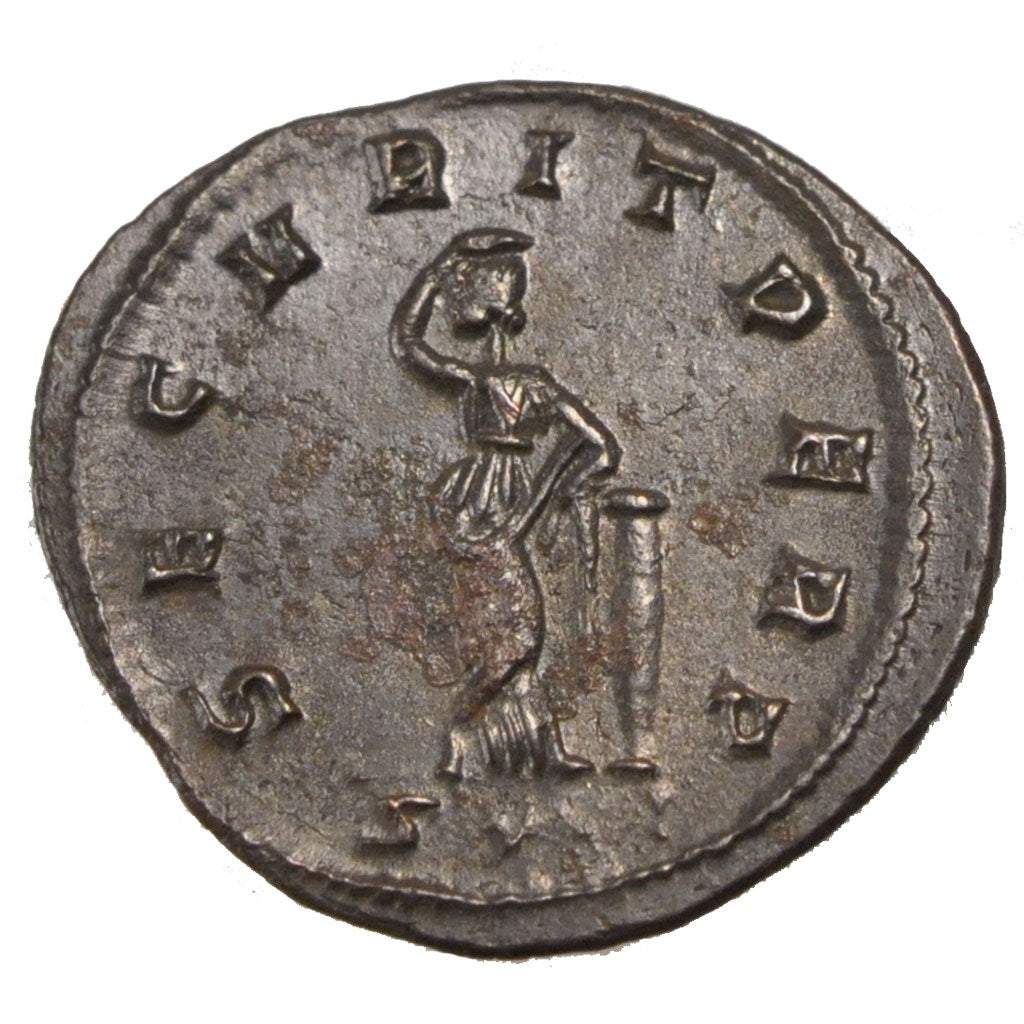 Probus, Antoninianus, SPL, Biglione, Cohen:611