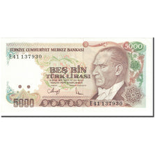Banknote, Turkey, 5000 Lira, 1990, 1990 (Old Date : 1970), KM:198, UNC(63)