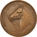 Francia, medalla, Société Hippique française, Equitation, Paris, 1908, EBC