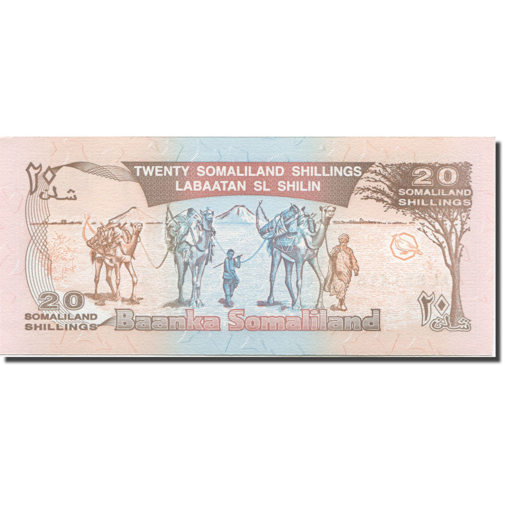 Banknote, Somaliland, 20 Shillings = 20 Shilin, 1996, Undated (1996), KM:3b