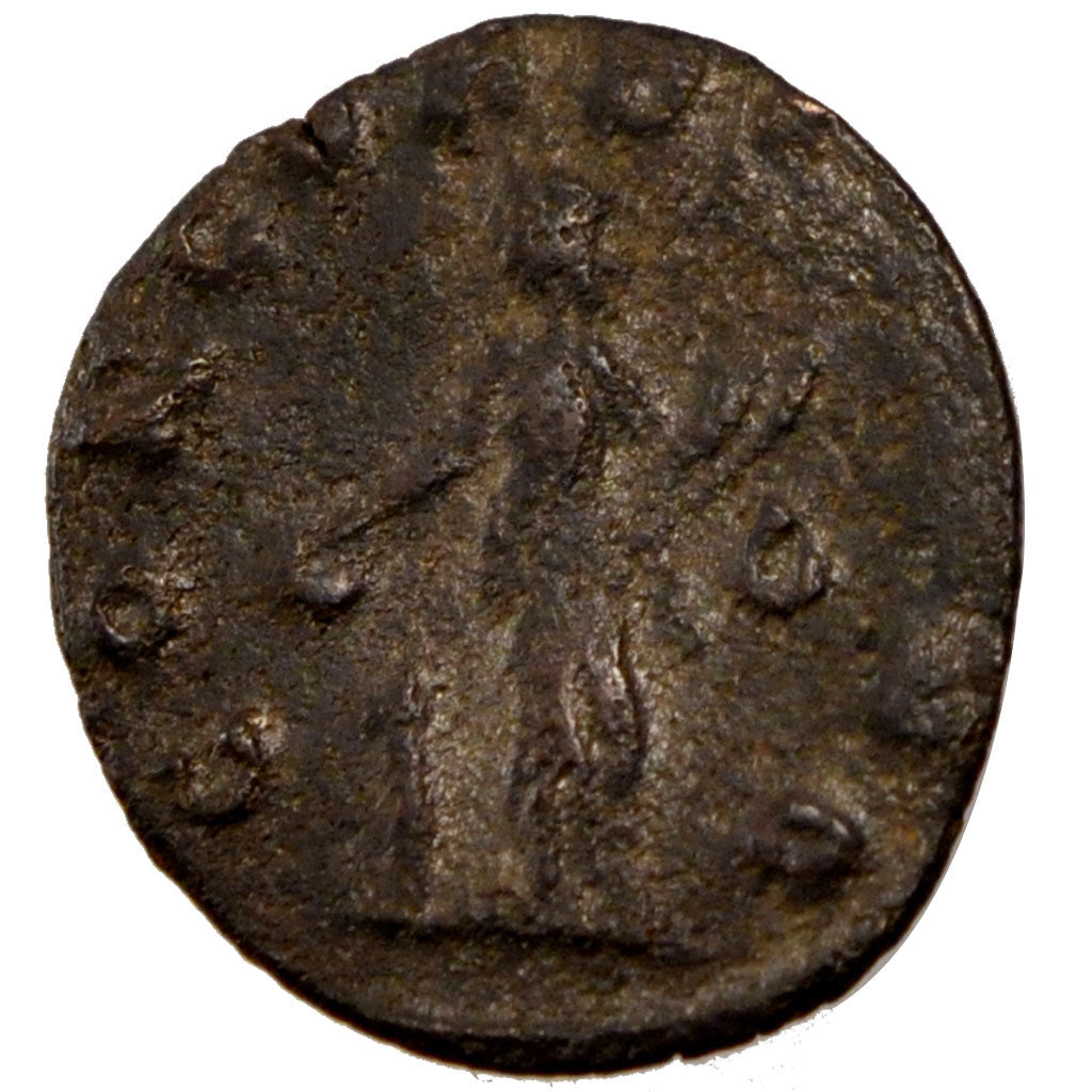 Quintillus, Antoninianus, BB, Biglione, Cohen:17