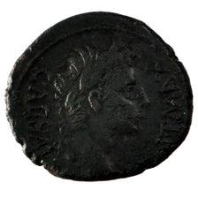 Augustus, As, EF(40-45), Copper, Cohen #240, 7.70