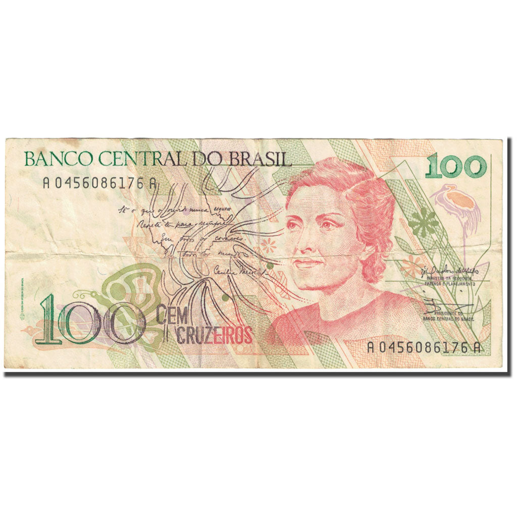 Banconote, Brasile, 100 Cruzeiros, 1990, Undated (1990-93), KM:228, B