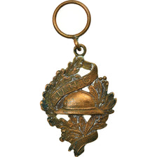 France, Union Nationale des Combattants, Politics, Society, War, Médaille