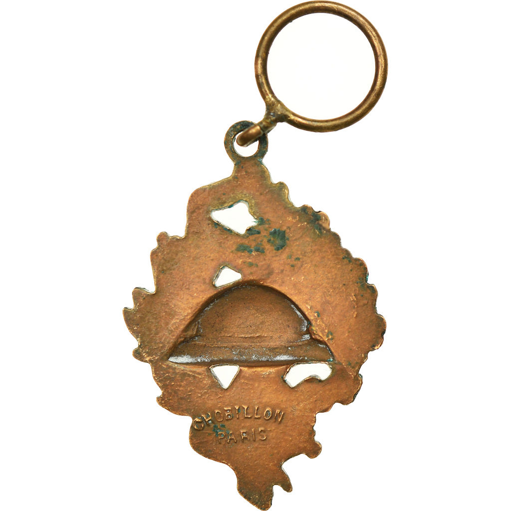 France, Union Nationale des Combattants, Politics, Society, War, Médaille