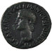 Caligula, As, AU(50-53), Copper, Cohen #27, 12.00