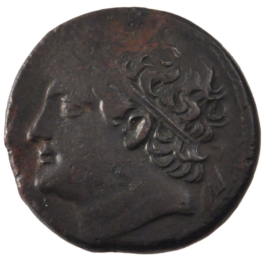 Sicily, Syracuse (250 AC), Hieron II, Syracuse, Double Litra, Syracuse,...