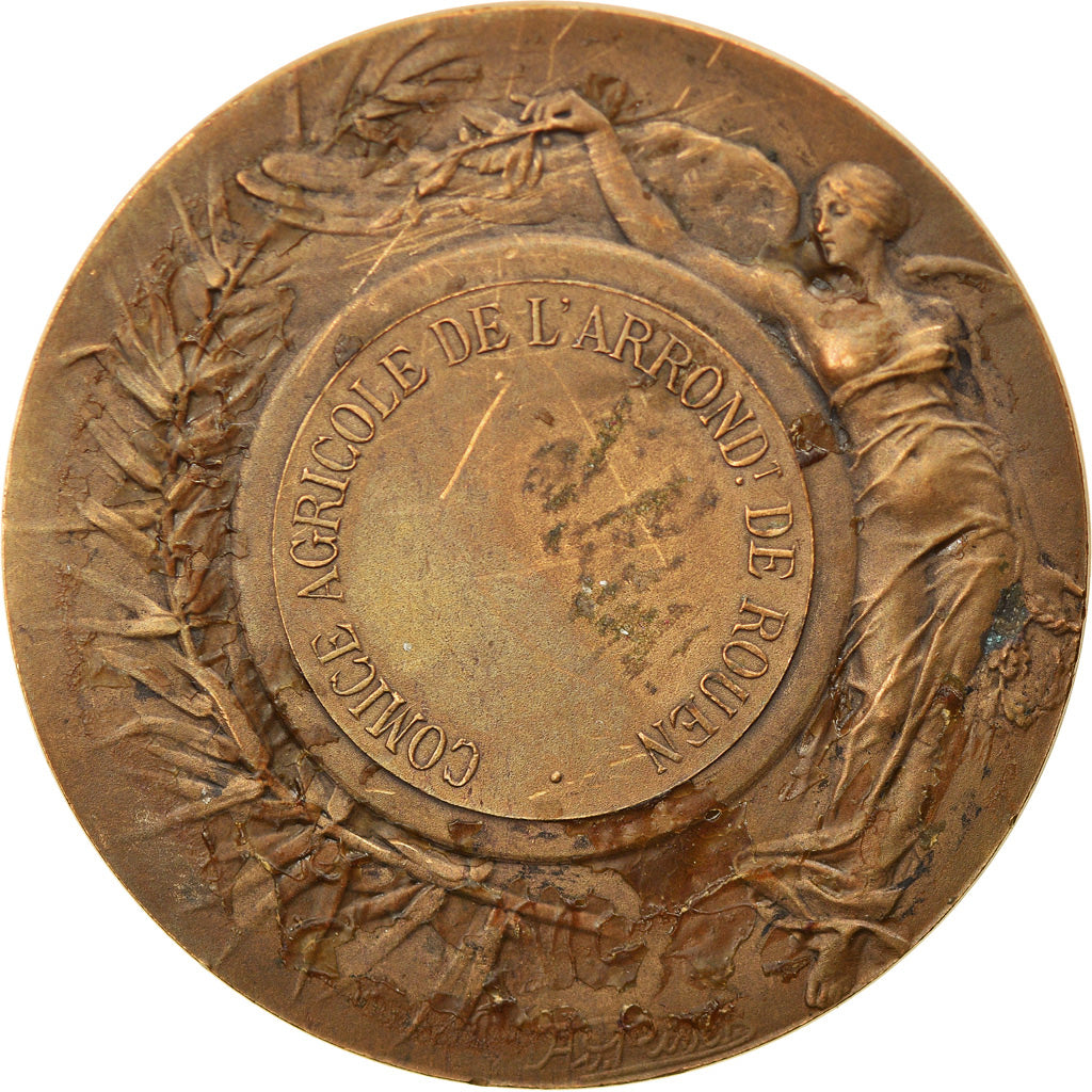 France, Medal, Comice Agricole de Rouen, Bottée, AU(55-58), Bronze