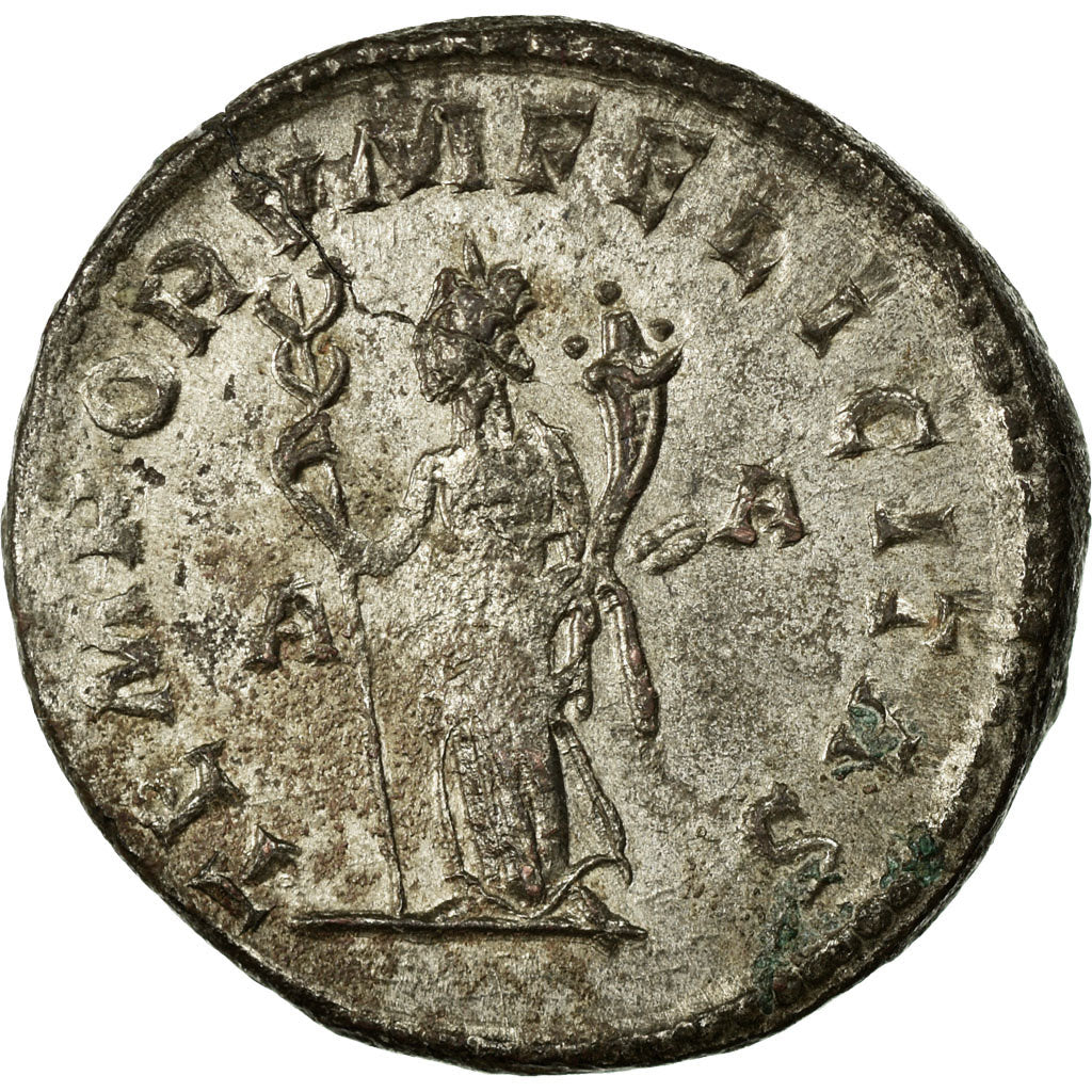 Moneta, Tacitus, Antoninianus, Lyon - Lugdunum, SPL-, Biglione, Cohen:144