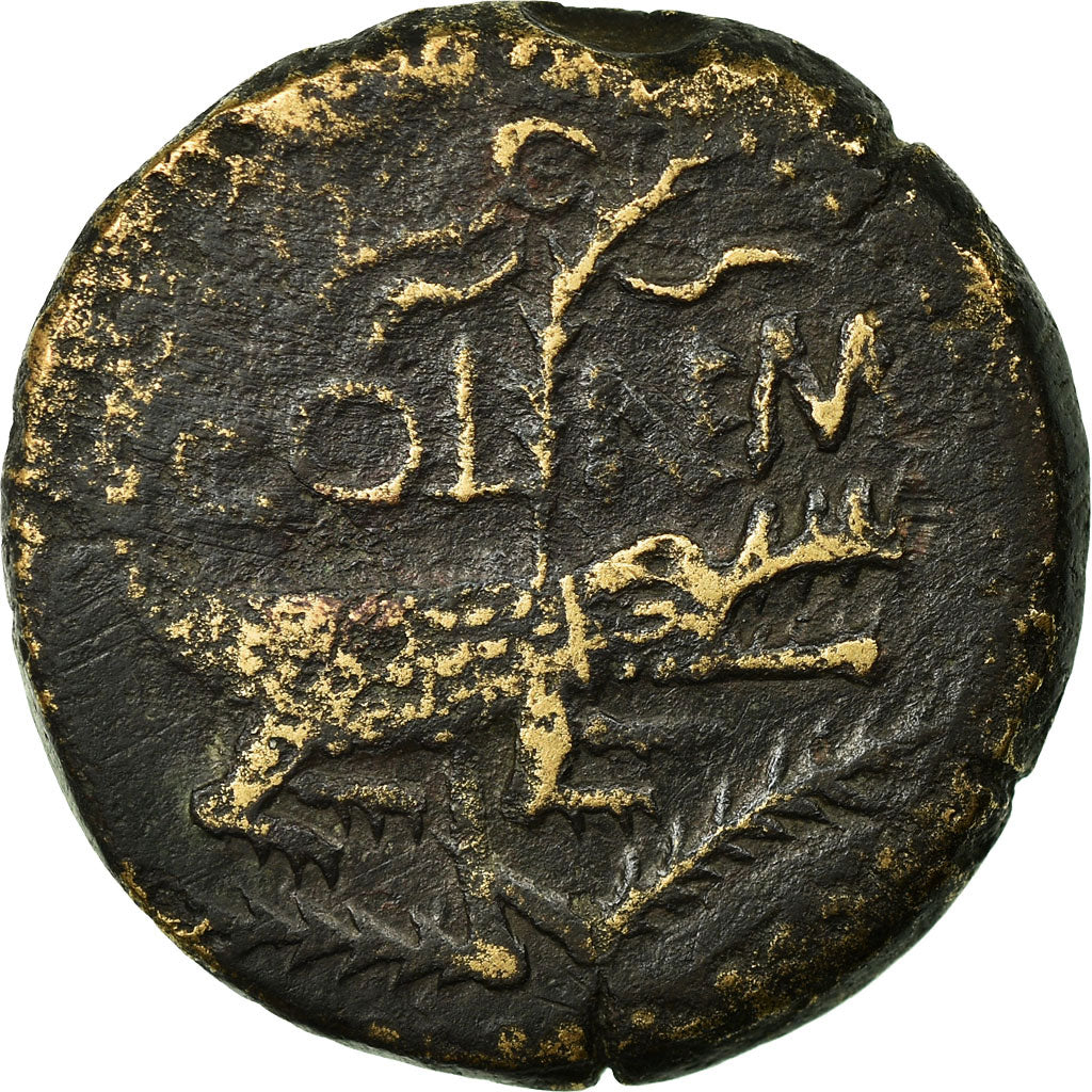 Monnaie, Dupondius, 16-10AV JC, Nemausus, TTB, Cuivre, RIC:155