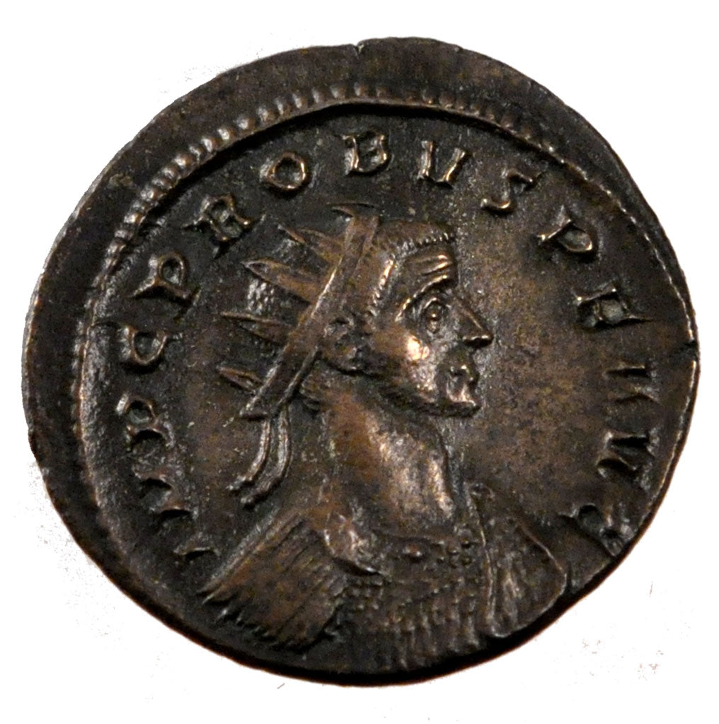 Probus, Antoninianus, BB+, Biglione, Cohen:599