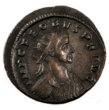 Probus, Antoninianus, BB+, Biglione, Cohen:599