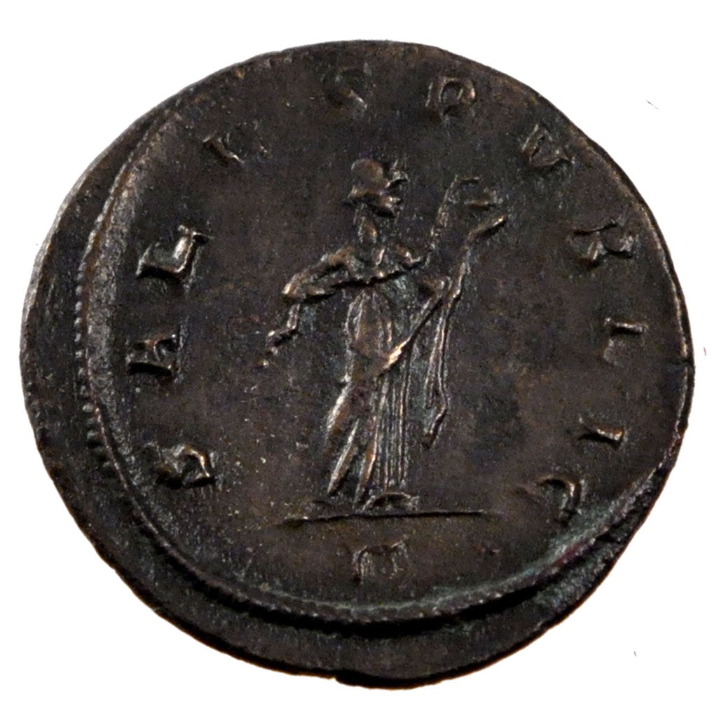 Probus, Antoninianus, BB+, Biglione, Cohen:599