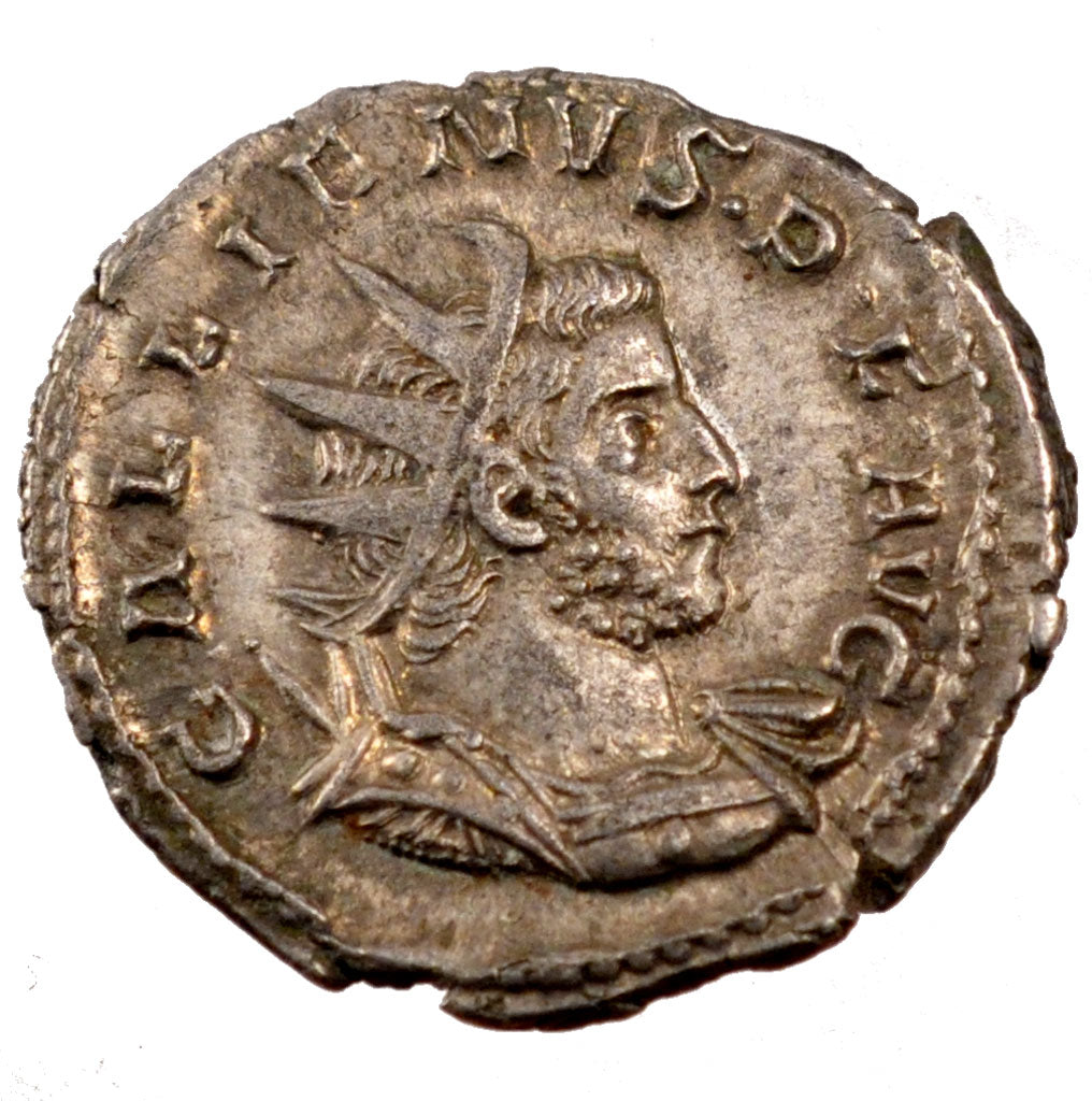 Monnaie, Gallien, Antoninien, SUP+, Billon, Cohen:1274