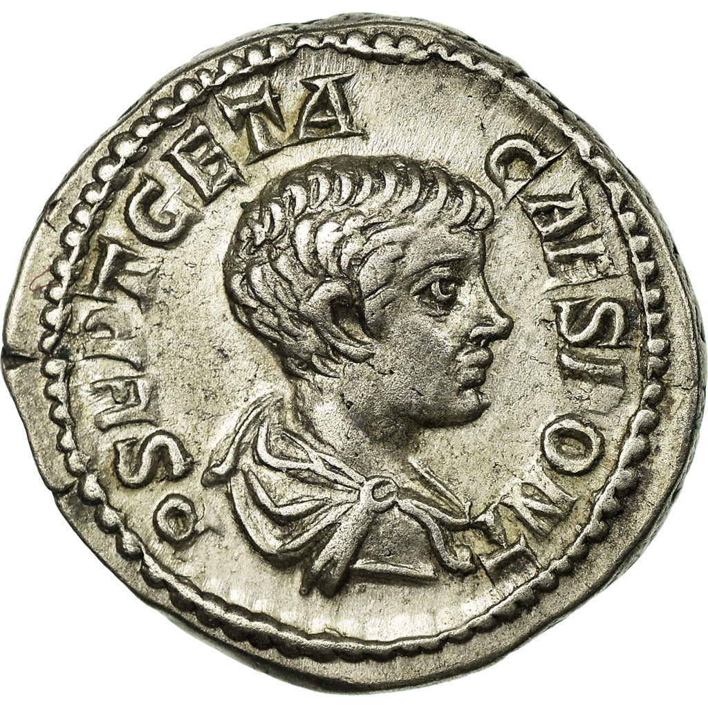 Monnaie, Geta, Denier, Roma, SUP+, Argent, Cohen:38