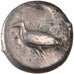 Sicily, Agrigente ( 450 BC ), Didrachm, Syracuse, VF(30-35), Silver, Pozzi...