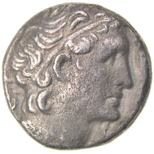 Egypte, Royaume Lagide, Ptolémée XIII, Tétradrachme