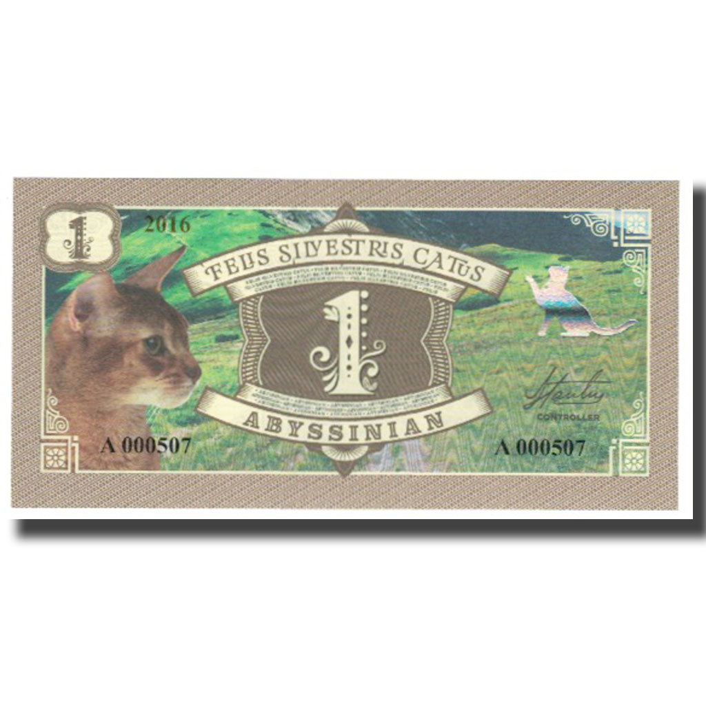 Banconote, Altro, 2016, FEUS SILVESTRIS CATUS, FDS