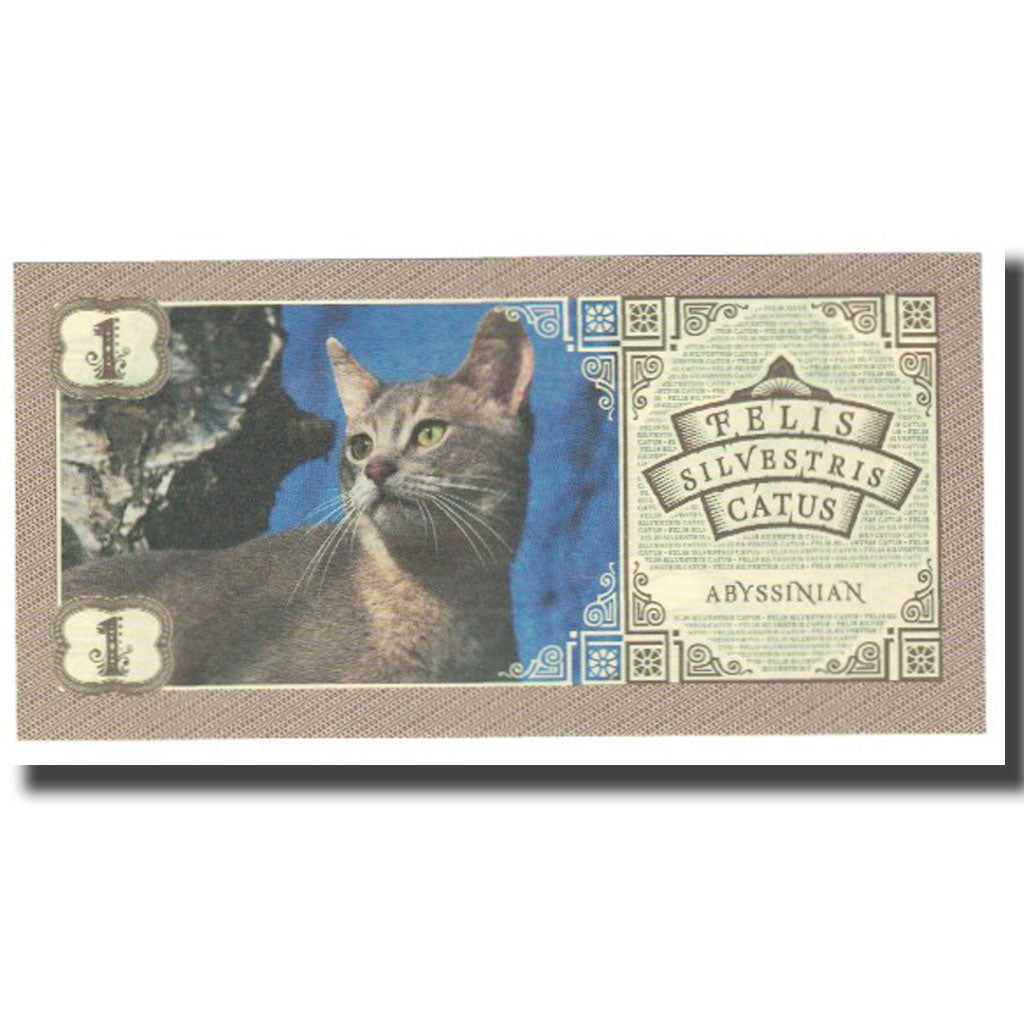 Banconote, Altro, 2016, FEUS SILVESTRIS CATUS, FDS