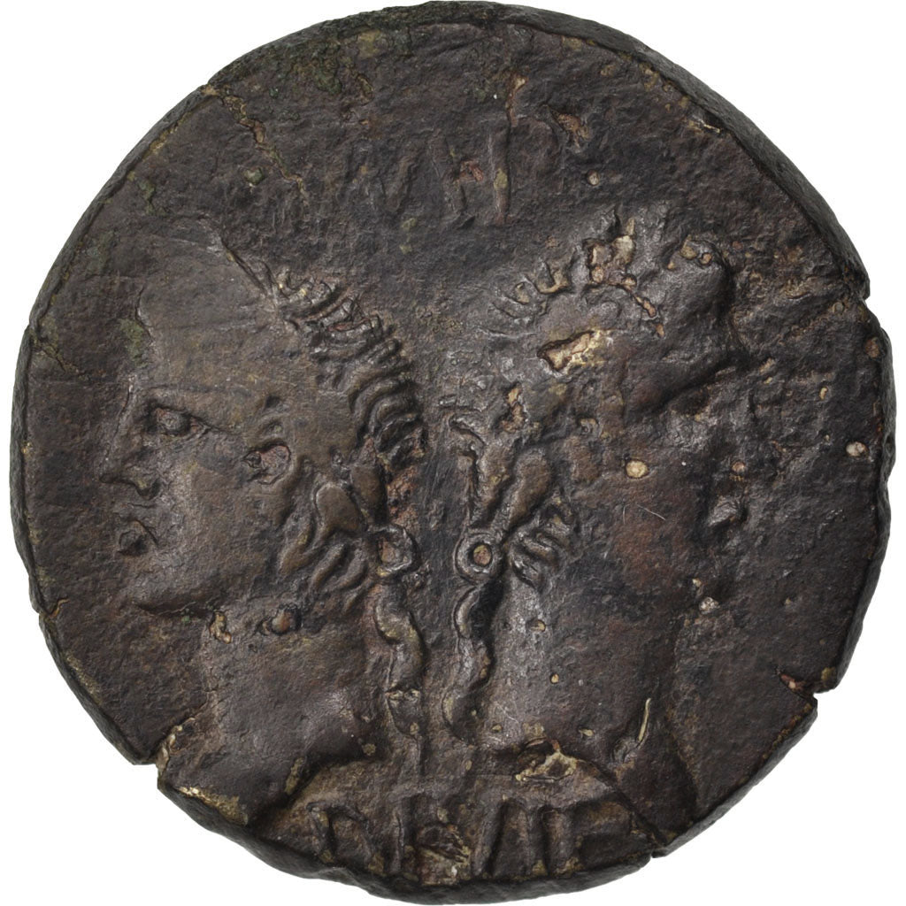 Dupondius, Nemausus, EF(40-45), Copper, Cohen #8, 13.10