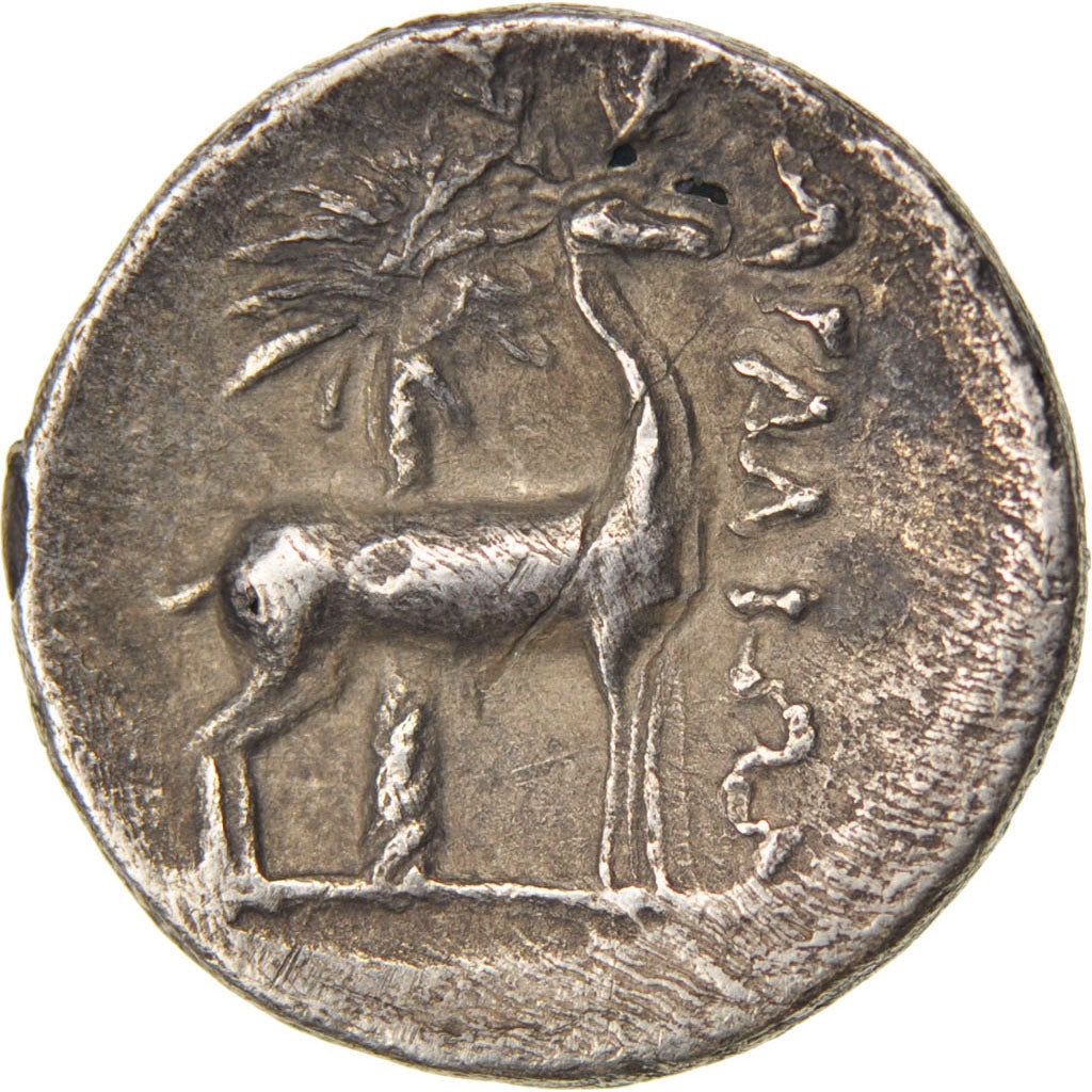 Ionia, Ephese (202-133), Drachm, Ephesos, EF(40-45), Silver, Pozzi #2433, 3.20