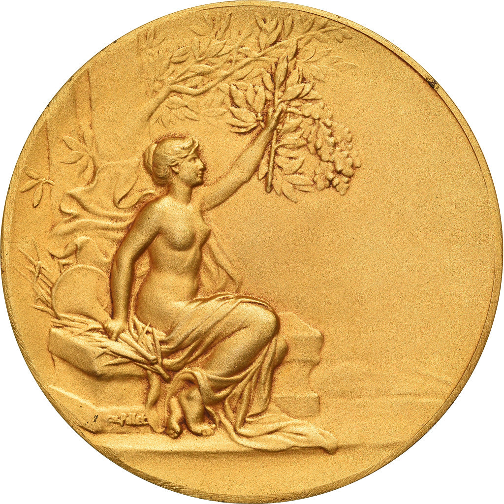 France, Médaille, Art Nouveau, Femme nue Assise, Boulogne sur mer, Pillet, SPL
