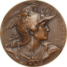 France, Medal, Ecole des Beaux Arts de Rouen, Arts & Culture, Bottée, MS(63)